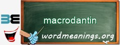 WordMeaning blackboard for macrodantin